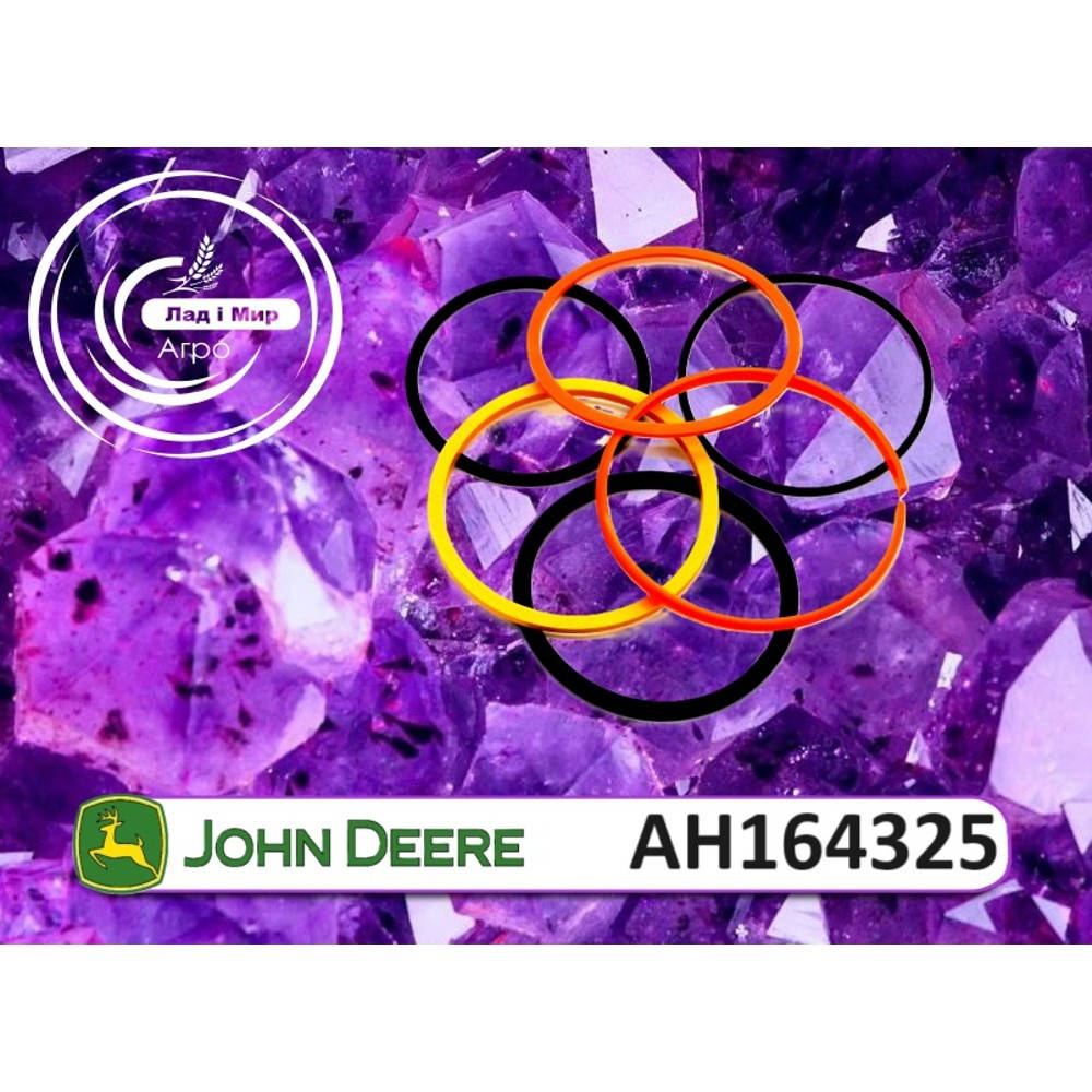 AH164325 Hydraulic Cylinder Repair Kit (John Deere)