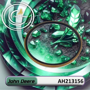 AH213156 sealing ring (John Deere)