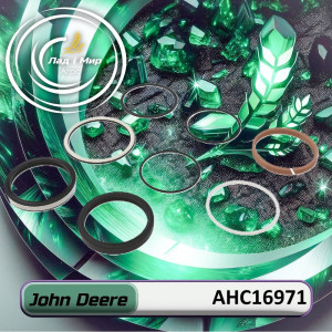 AHC16971 Zestaw uszczelnień cylindra hydraulicznego (John Deere)