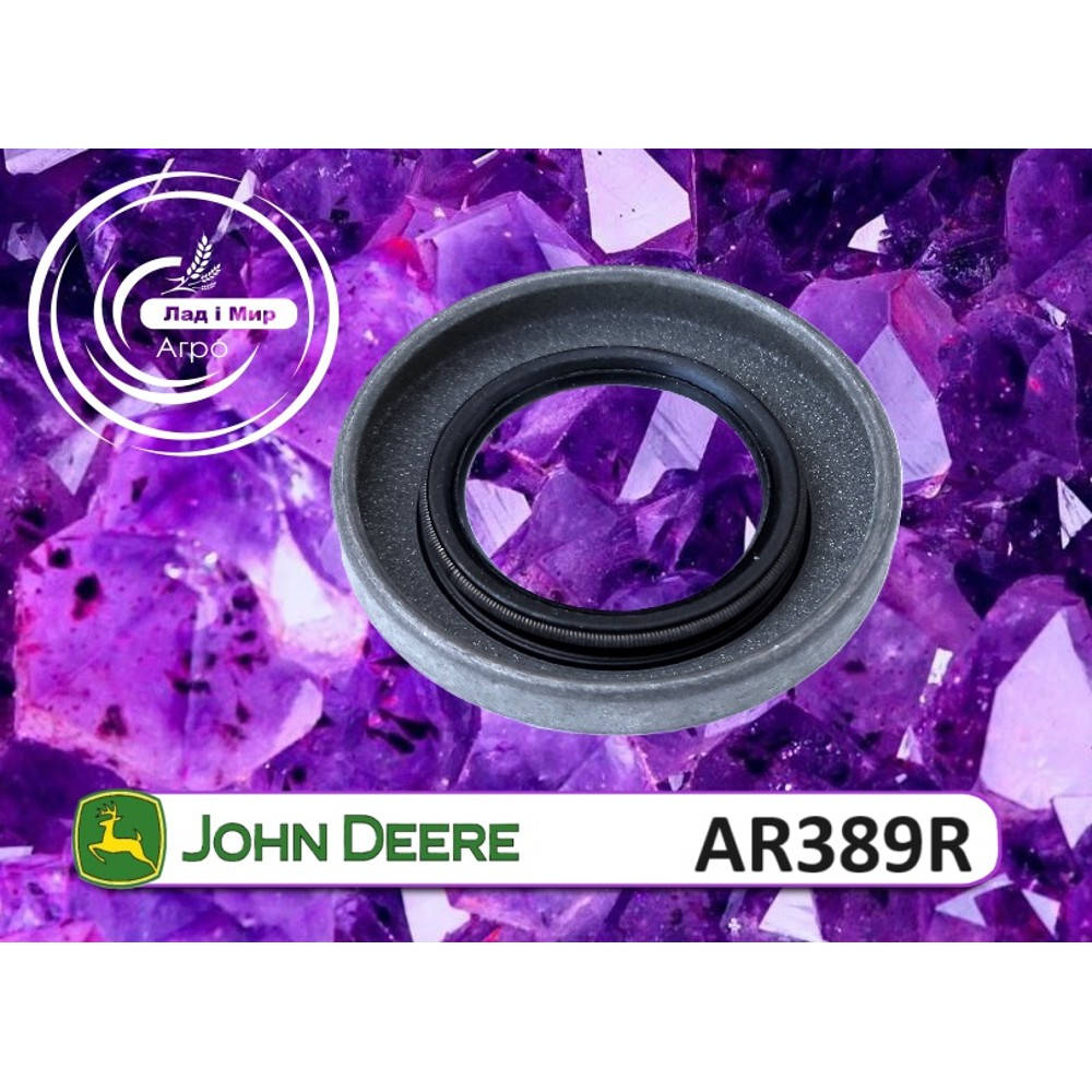 AR389R Internal Oil Seal (John Deere)