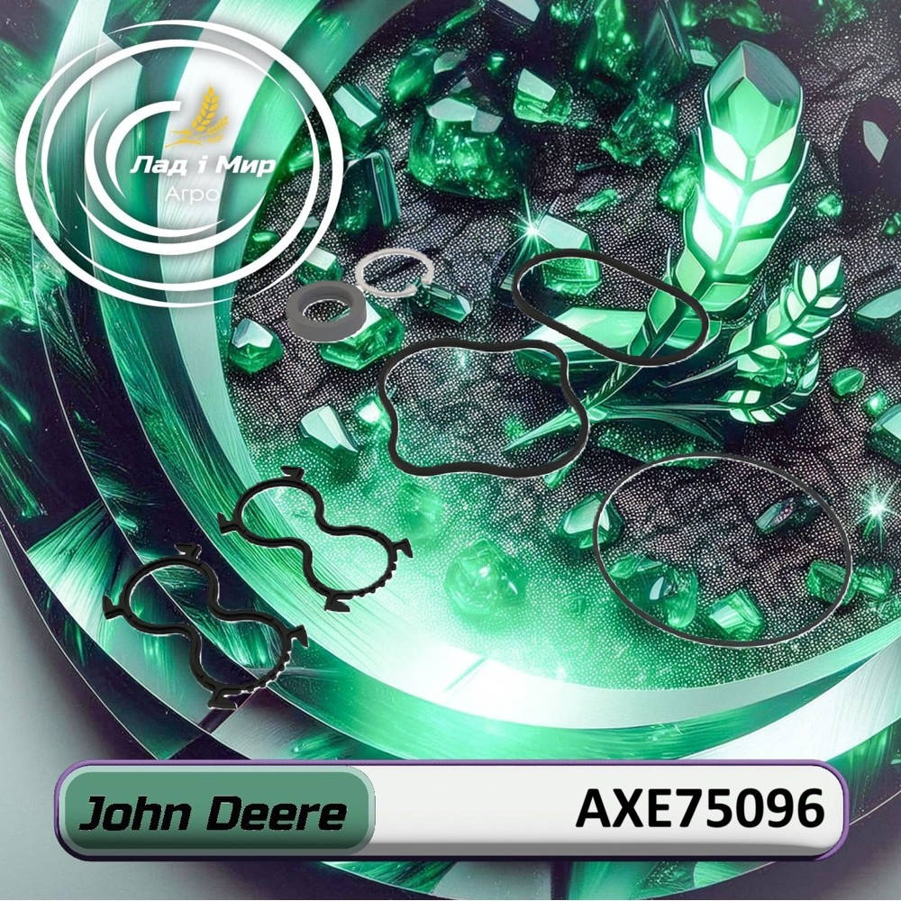 AXE75096 Seal Kit (John Deere)