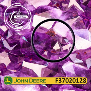 F37020128 Ring (John Deere)