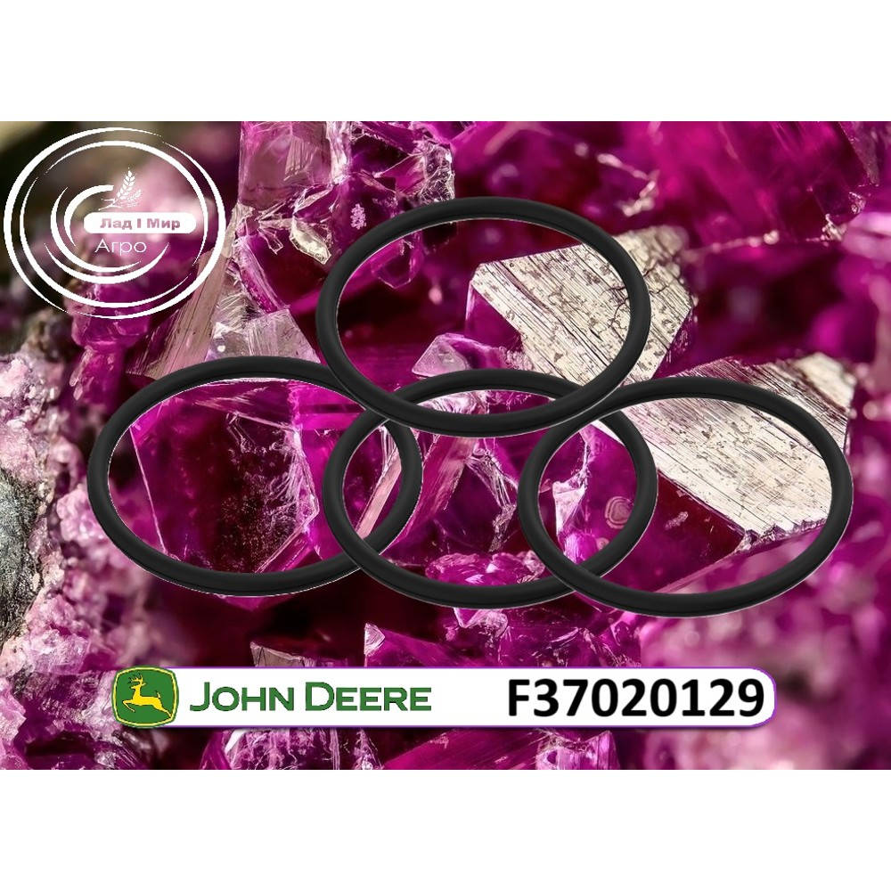 F37020129 sealing ring (John Deere)
