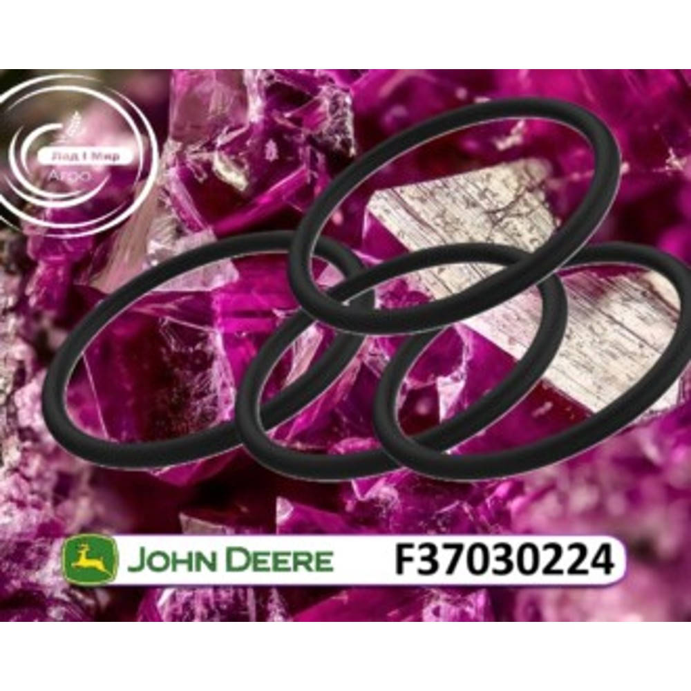 F37030224 Sealing Ring (John Deere)
