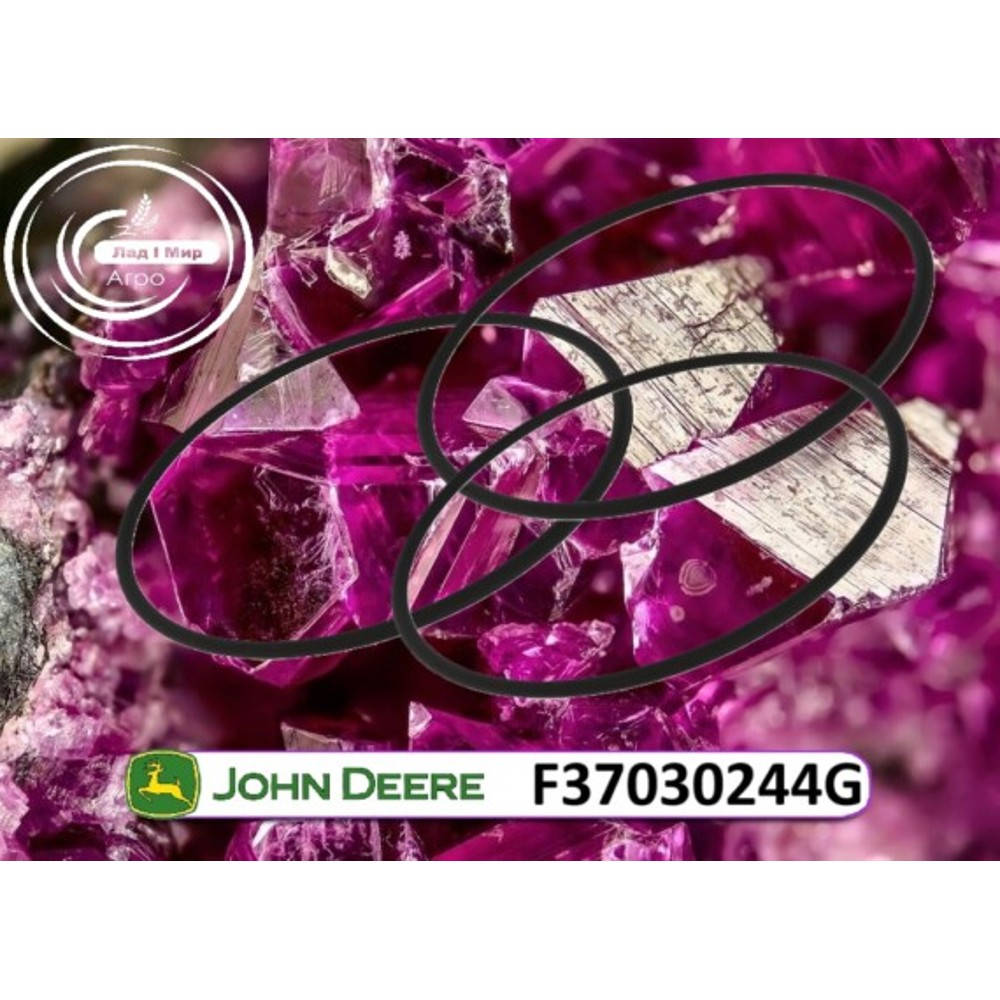 F37030244 O-ring (John Deere)