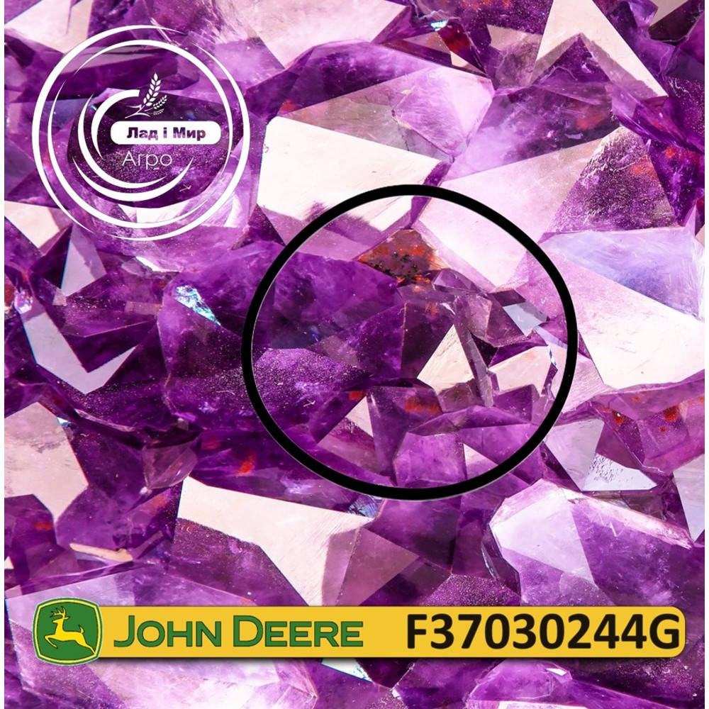 F37030244G Seal (John Deere)