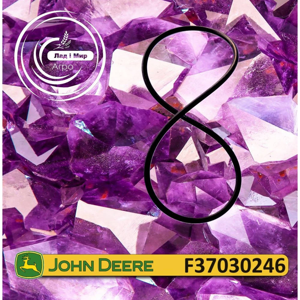 F37030246 Кільце (John Deere)