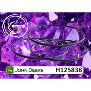 H125838 Sealing Ring (John Deere)