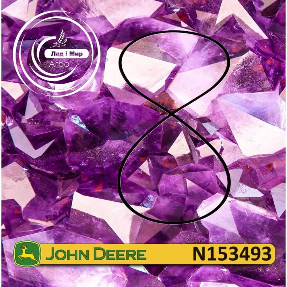 N153493 Ring 196.52 X 2.616 mm (John Deere)