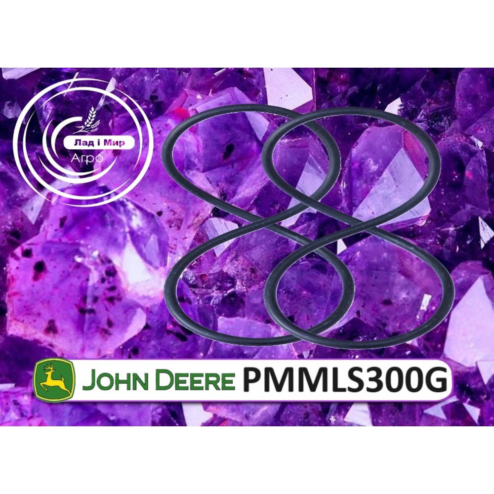PMMLS300G Seal for solution filter housing cover (John Deere)