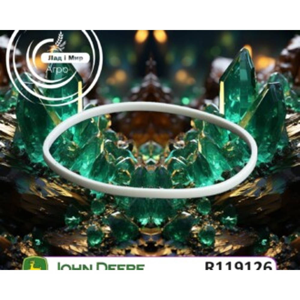 R119126 Ring (John Deere)