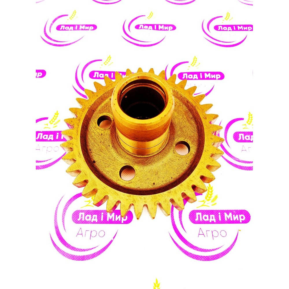 R165577 Gear (John Deere)