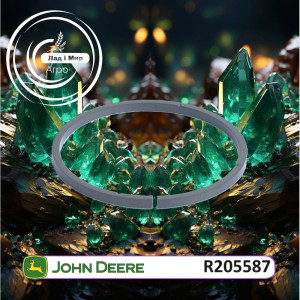R205587 Ring (John Deere)