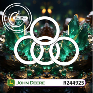 R244925 Washer (John Deere)