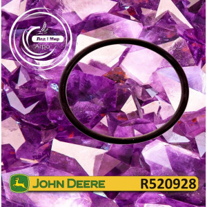 R520928 Ring (John Deere)