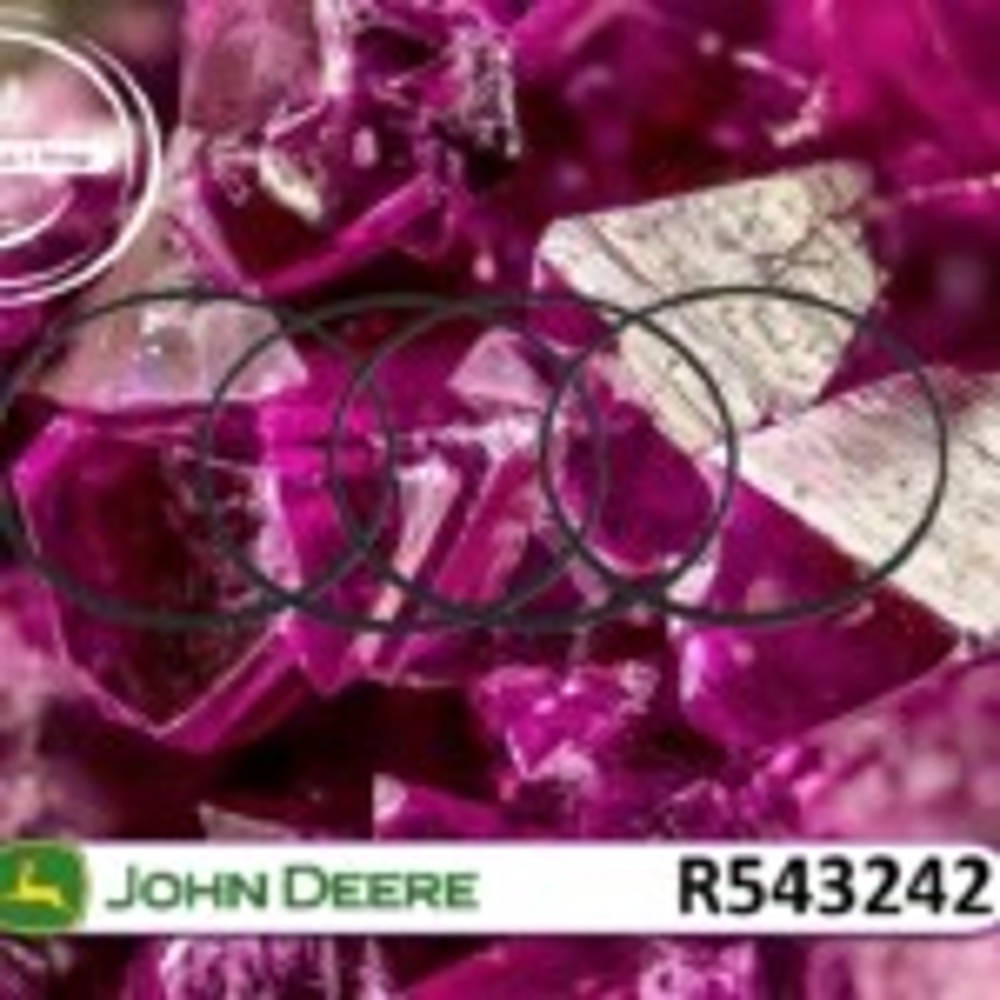R543242 Sealing Ring (John Deere)