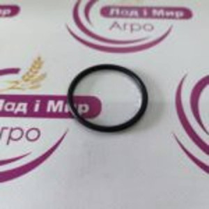 R61015 Sealing Ring (John Deere)