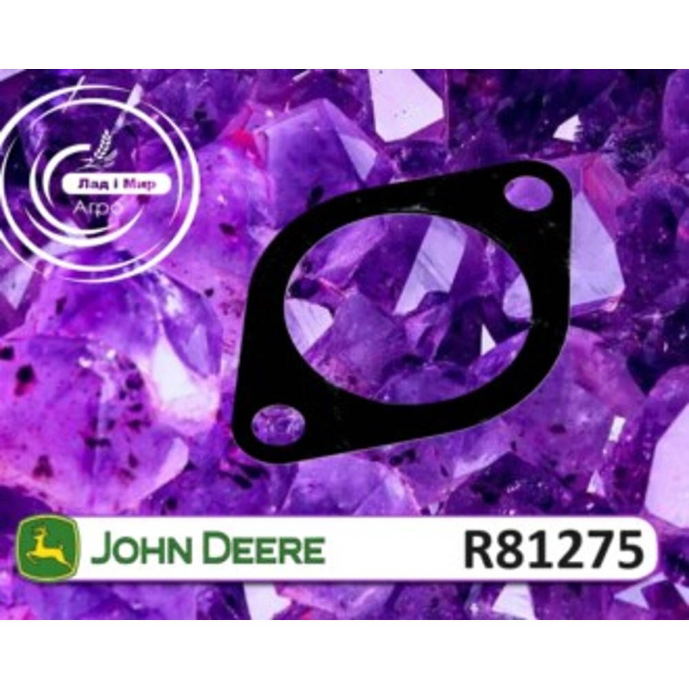 R81275 Uszczelka, simmering (John Deere)