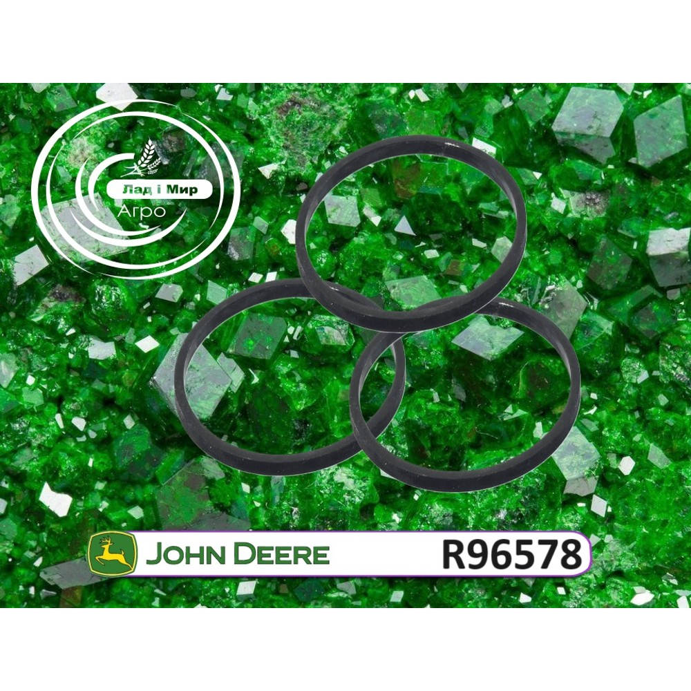 R96578 O-ring (John Deere)