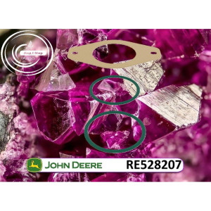 RE528207 Valve Repair Kit (John Deere)