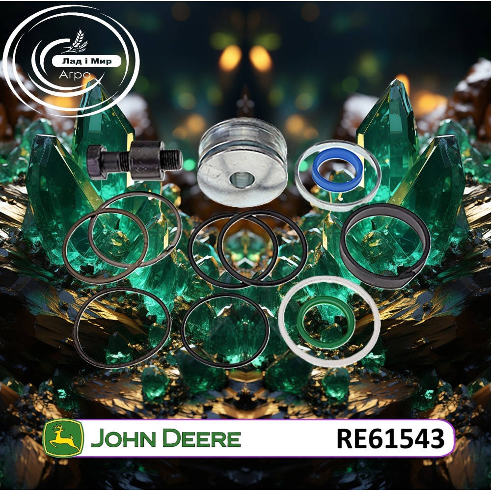 RE61543 Ремкомплект гідроциліндра (John Deere)