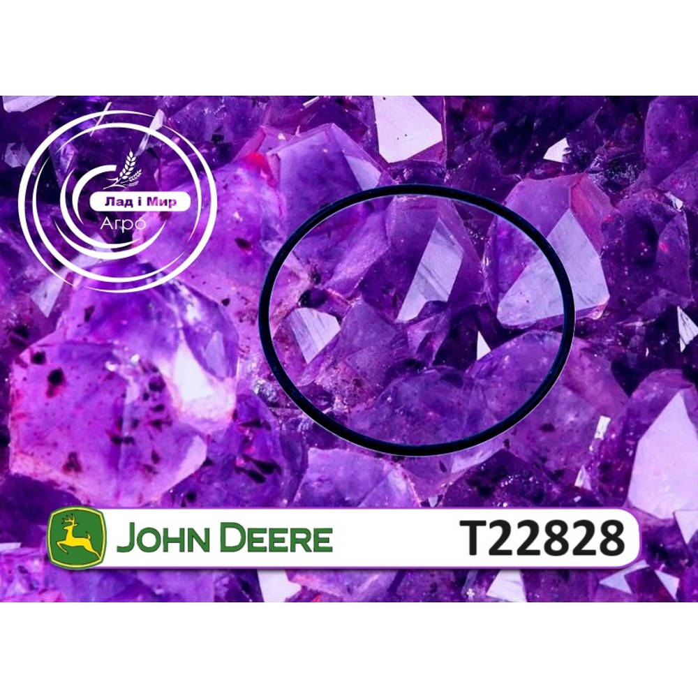 T22828 Ущільнення (John Deere)