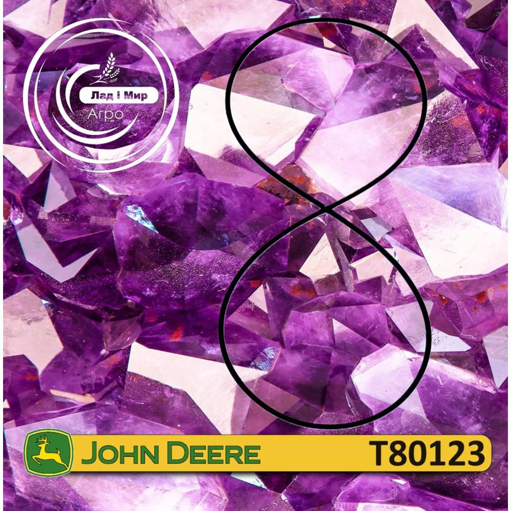 T80123 Ring (John Deere)
