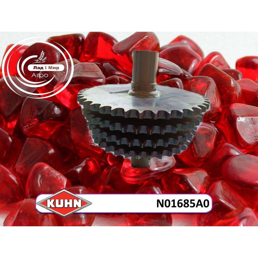 N01685A0 Zespół zębatek (KUHN)