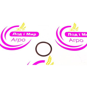 X548895001000 Rubber Ring 34 x 3 mm (Lad i Mir parts)