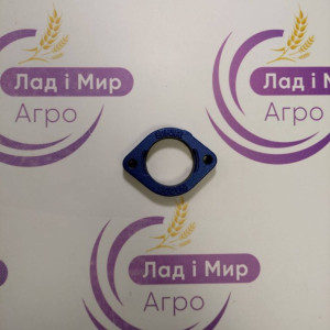 FD205 Bearing Housing (NTN)