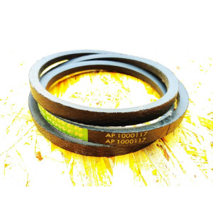 AP1000117 Пас (OPTIBELT)