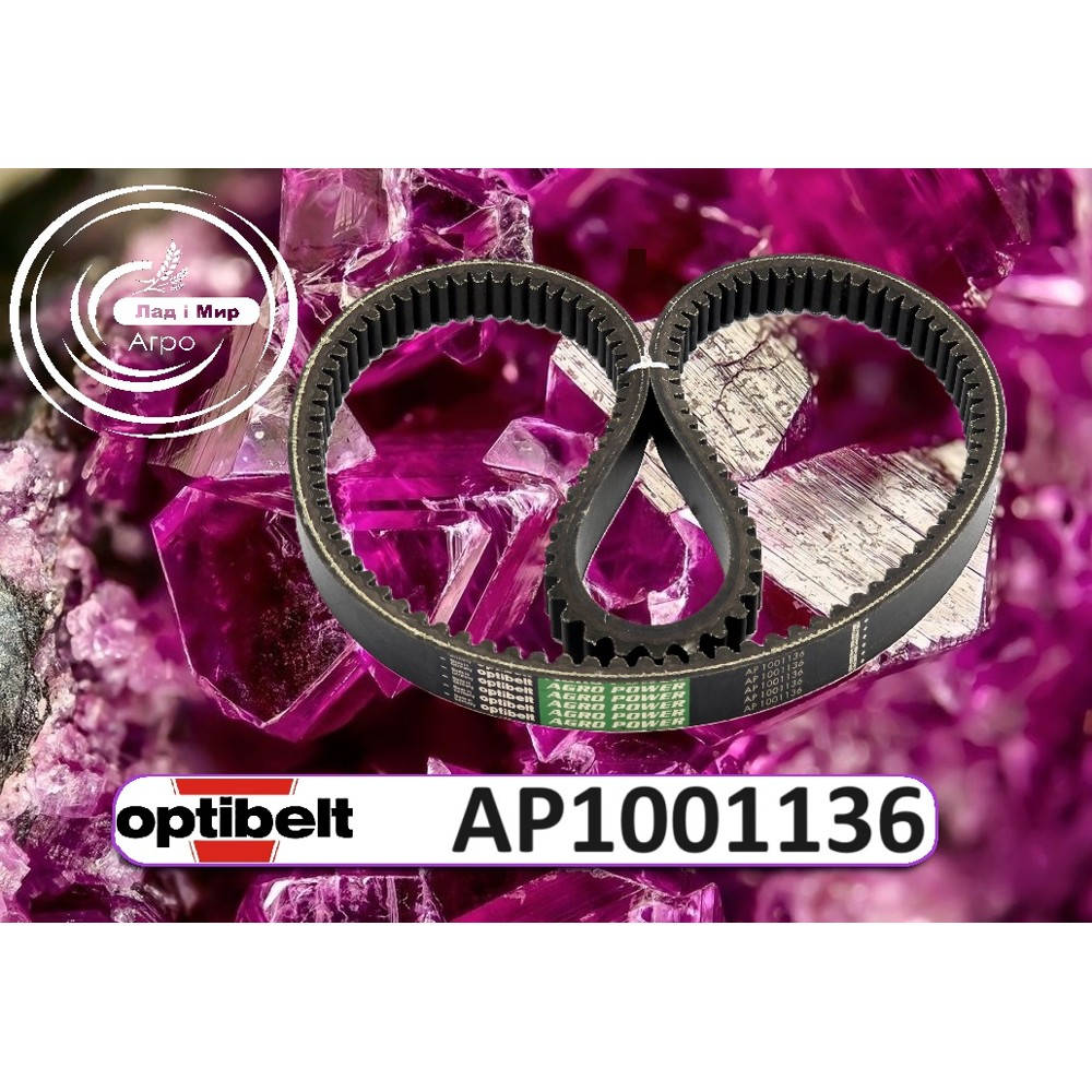 AP1001136 Pas Optibelt (OPTIBELT)