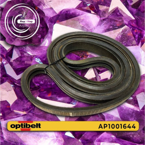 AP1001644 Пас (2 Ribs) LGTH = 3465mm (OPTIBELT)