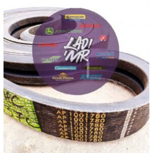 AP1001780 Пас (OPTIBELT)