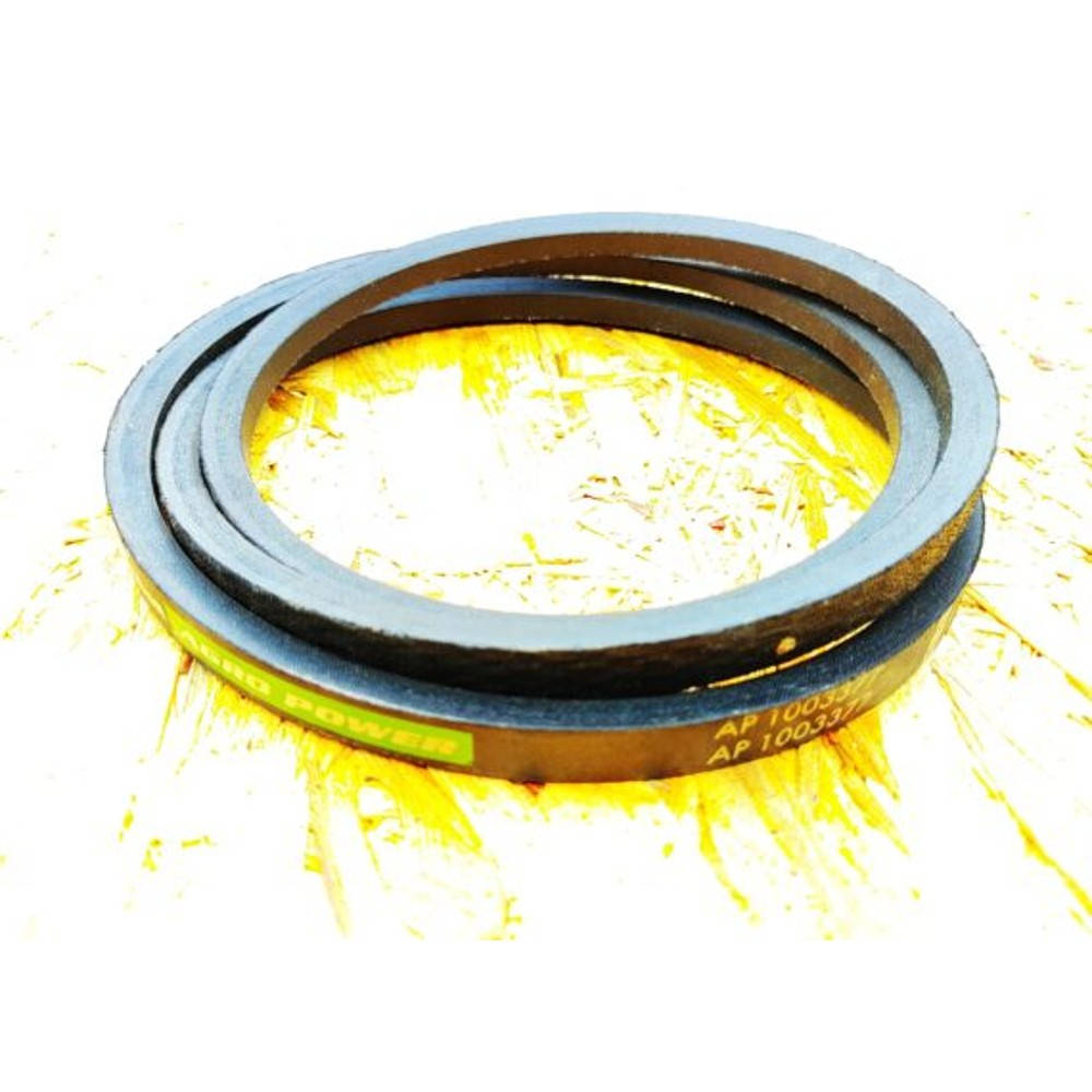 AP1002041 Пас (OPTIBELT)