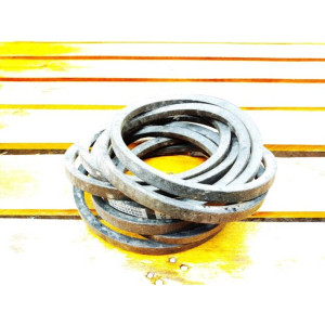 AP1002319 Pas (OPTIBELT)