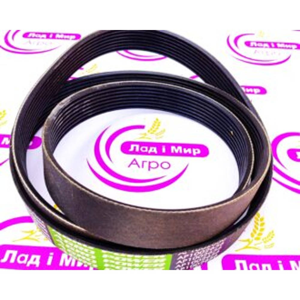 AP1002656 Poly-V Belt (OPTIBELT)