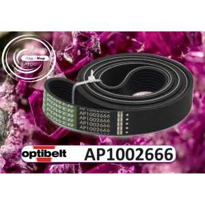 AP1002666 Pas Optibelt 8PK-2080 (47430047) (OPTIBELT)