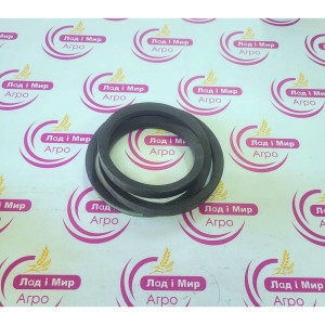 AP1002699 Belt (OPTIBELT)