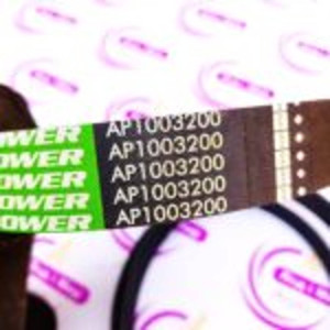 AP1003200 Пас полікліновий (8 PK) LGTH = 2045 mm (OPTIBELT)