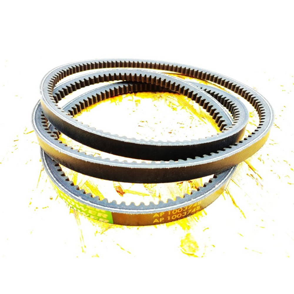AP1003748 Пас (OPTIBELT)