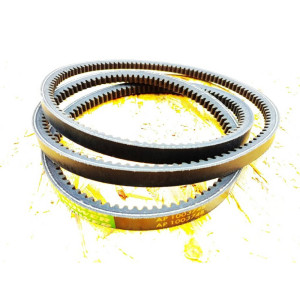 AP1003748 Пас (OPTIBELT)