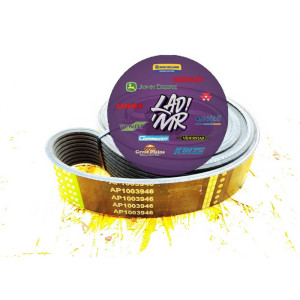 AP1003946 Belt (OPTIBELT)