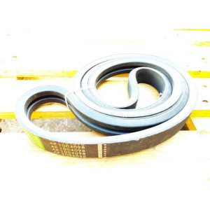 AP1004098 Дворучейний ремінь Optibelt (OPTIBELT)