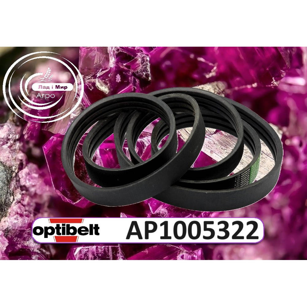 AP1005322 Пас (OPTIBELT)