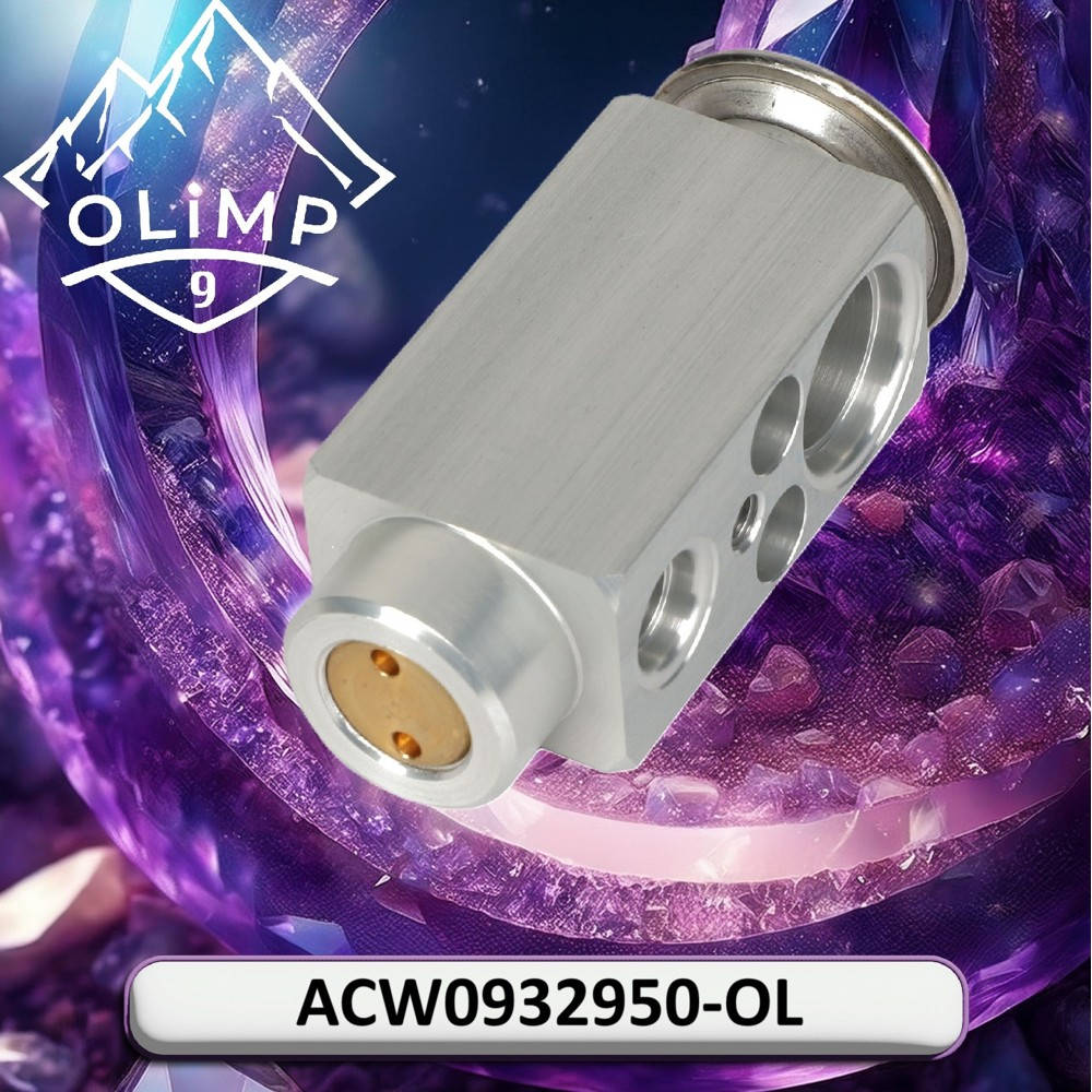 ACW0932950-OL Valve (Olimp9)