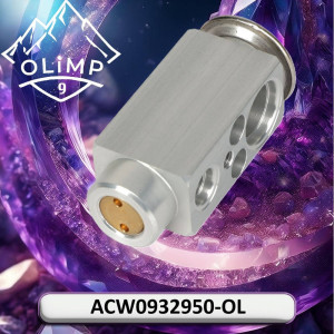 ACW0932950-OL Valve (Olimp9)
