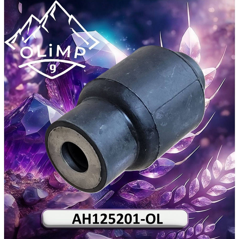 AH125201-OL Bushing with fastener (Olimp9)