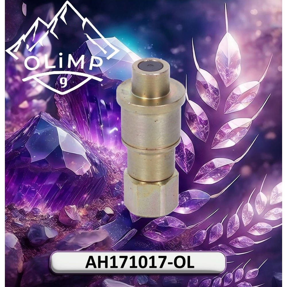 AH171017-OL Coupling (Olimp9)