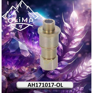 AH171017-OL Coupling (Olimp9)